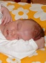 Noch ein kleiner Schläfer: Jaromir, sechs Wochen alt.