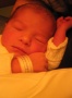 Maya Sophie, geboren im September 2003, ist auf diesem Bild noch ganz frisch: erst eine Stunde alt.